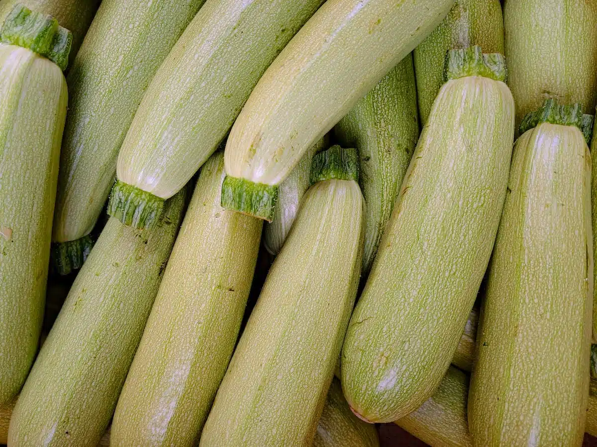 courgettes jaunes