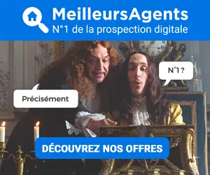 meilleurs agents