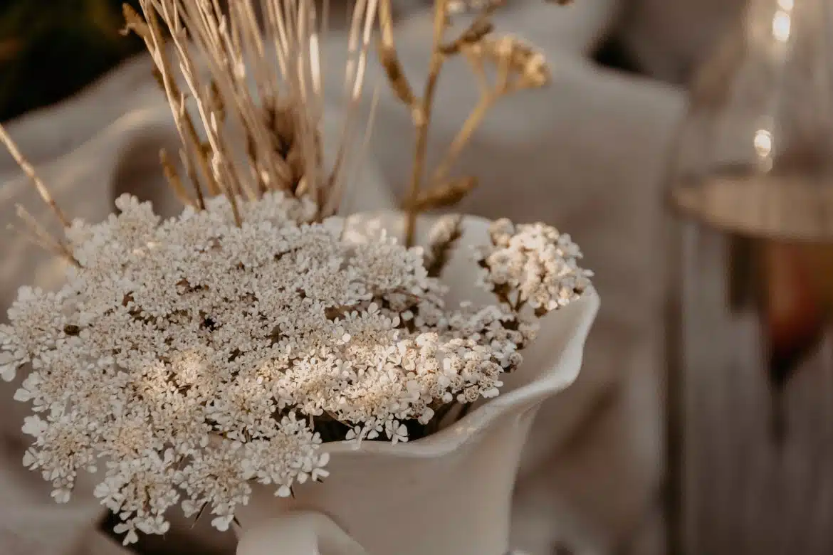 white flowers in white ceramic vase